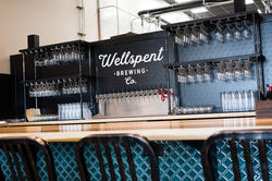 Wellspent WEB-29